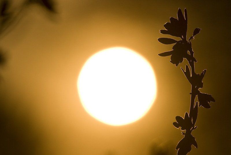 Теплоphoto preview