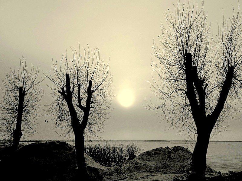 Юг или Север...photo preview