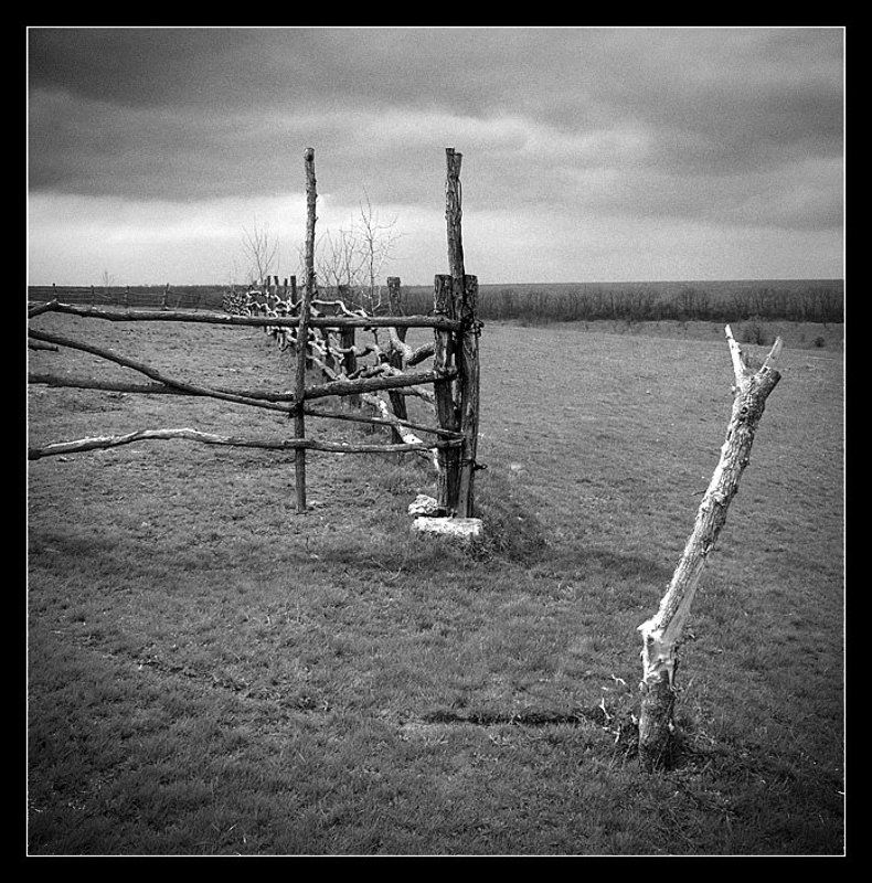 село, поле ***photo preview