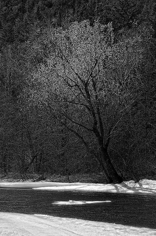 апрельphoto preview