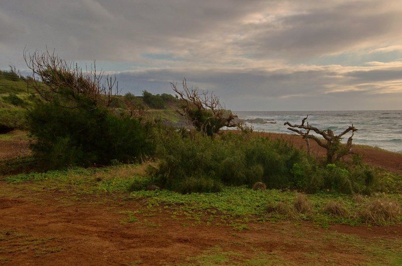 станко, океан, пляж, море, небо, гавайи Навстречу ветруphoto preview