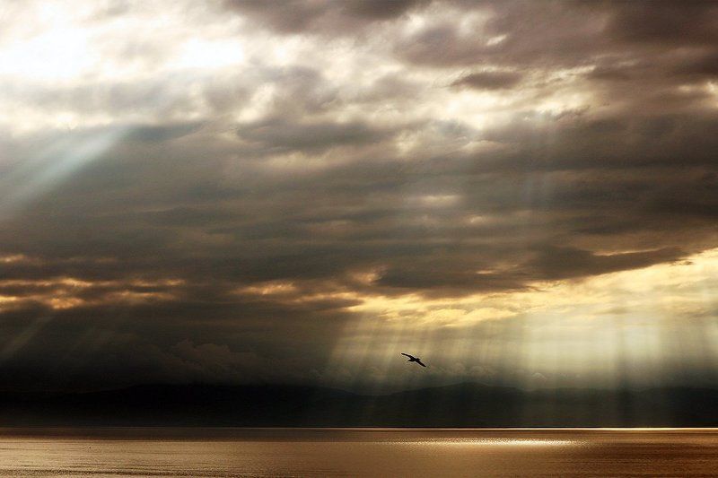 что?photo preview