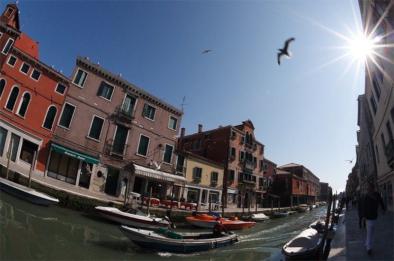 Забавы апрельского солнцаphoto preview