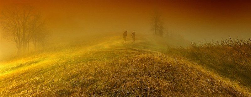 МЫ ДЕТИ ФЕНИКСОВ СПЕШАЩИХ НА ЗАРЮ...photo preview