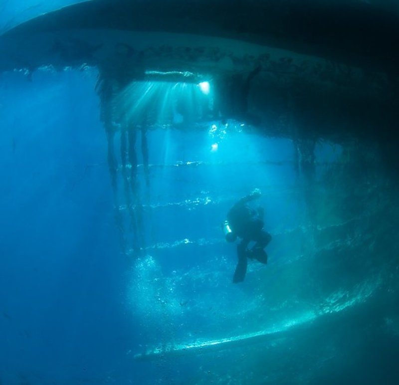 лодка, силуэт, дайвер, underwater Лестница к солнцуphoto preview