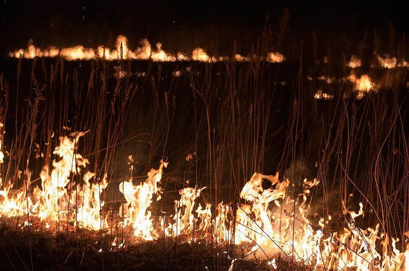 владивосток, приморье, северные, земли, дмитрий, корнилов ***photo preview