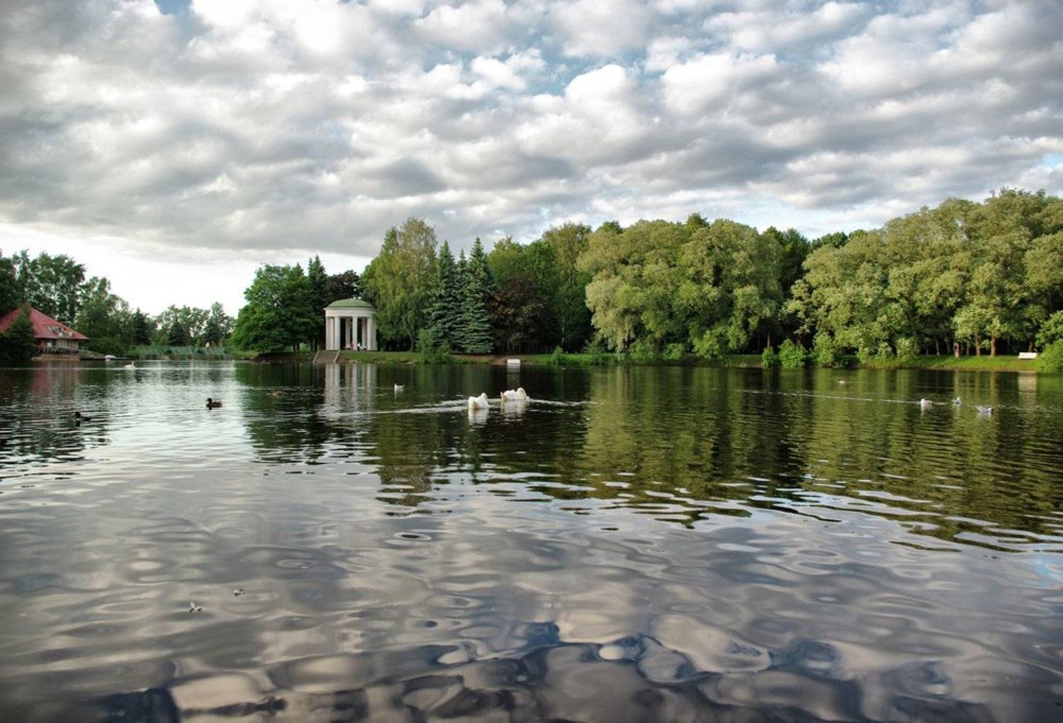 , Александр Ванюков