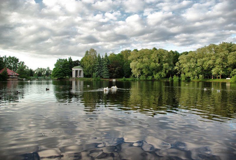 Лебединое озероphoto preview