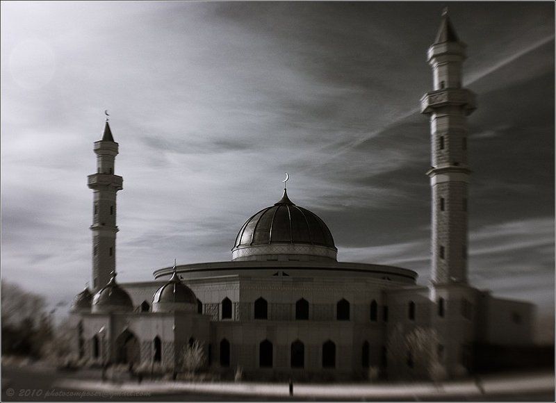 пейзаж, pilgrim, инфракрасный, infrared East/Westphoto preview