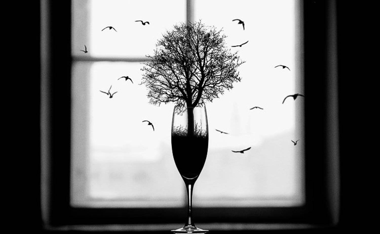 Природа.... Автор: Семенов Арсений wwwest, Семенов Арсений