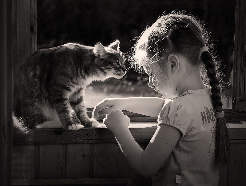 солнечнаяphoto preview