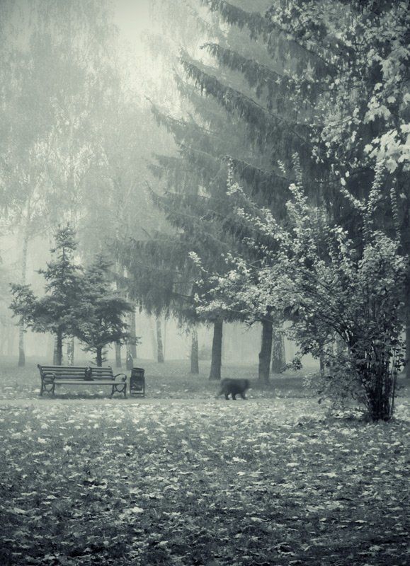 Утро, осень... фото превью