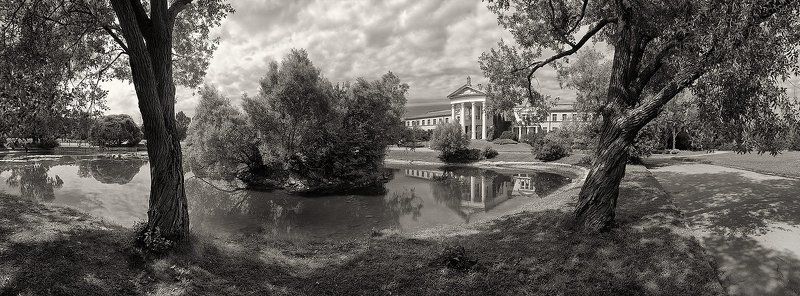 ч/б, панорама, лето, тень, фактура В прохладной тени фото превью