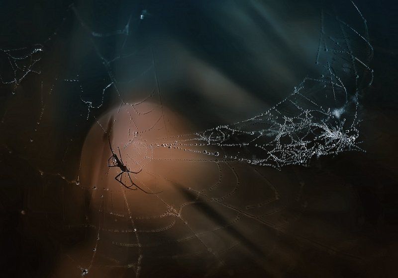 своя вселенная..photo preview