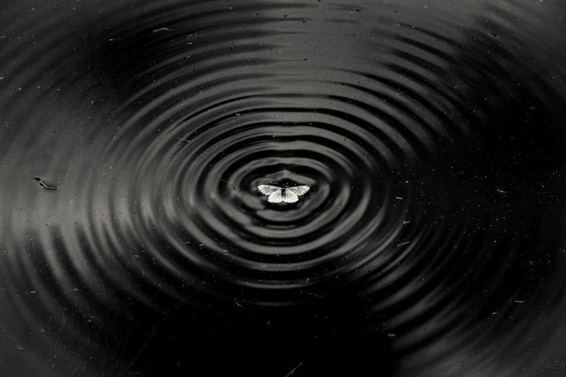 ни взлететь ни утонутьphoto preview