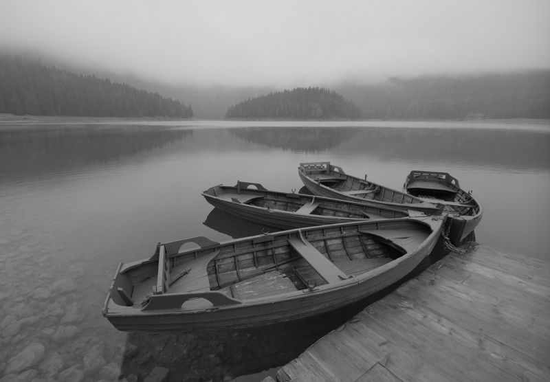 2+2, монохромphoto preview