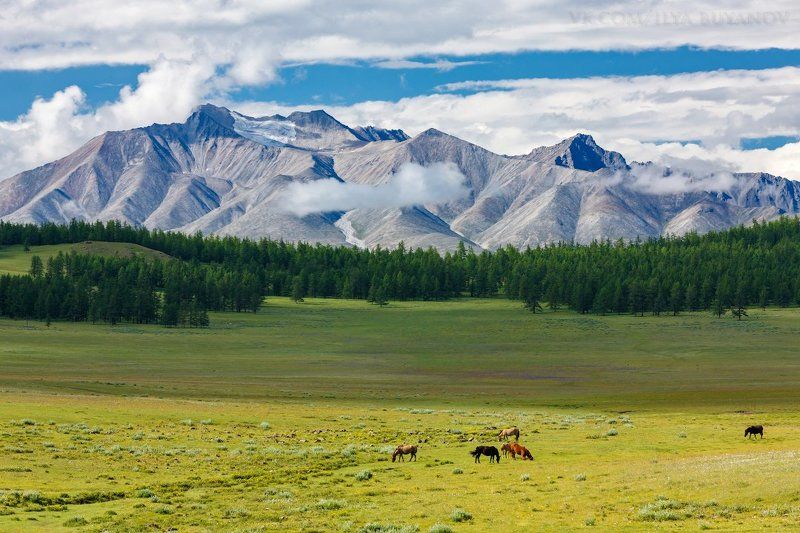 Саяныphoto preview