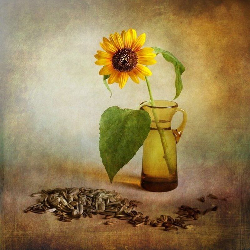 Pożegnanie lataphoto preview