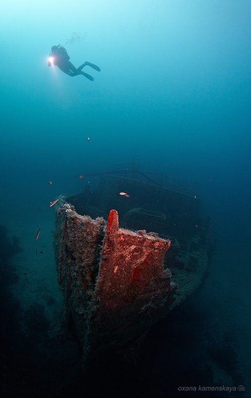 Imperial Eaglephoto preview