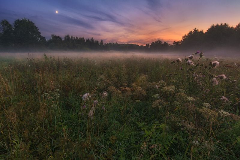 Туманный вечерphoto preview