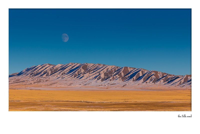 Moonlight, ай... лунный свет ;)photo preview