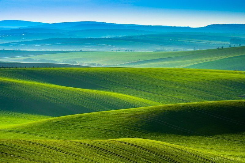 Шелковое поле Моравииphoto preview