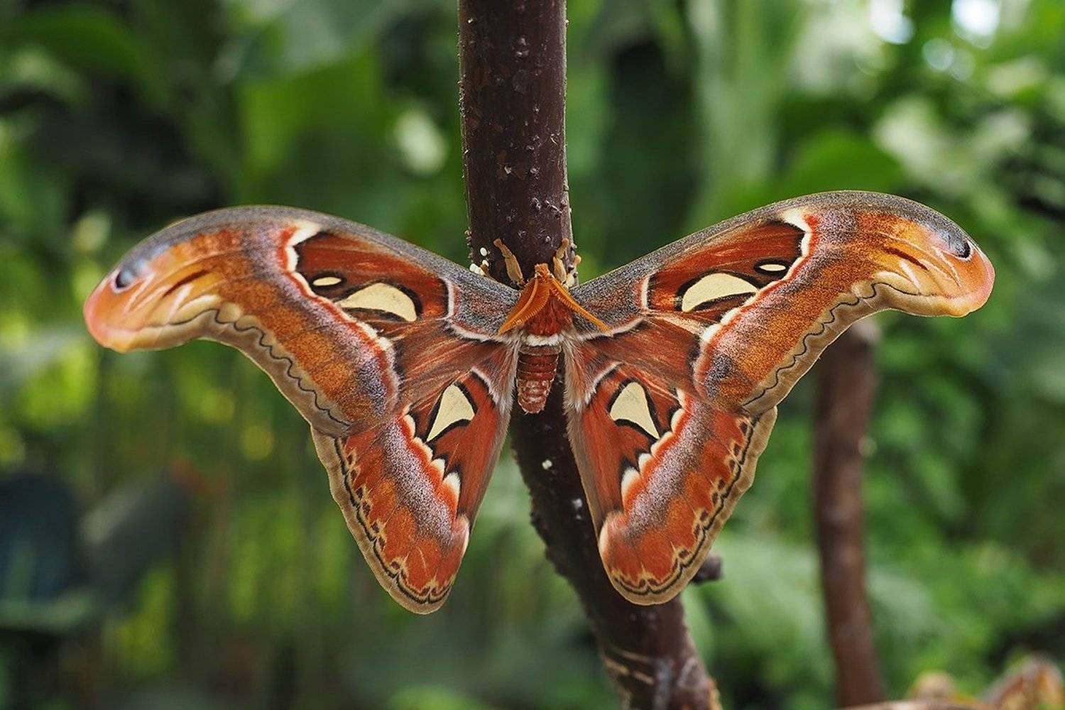 Автор: Игорь Дубровский , Игорь Дубровский