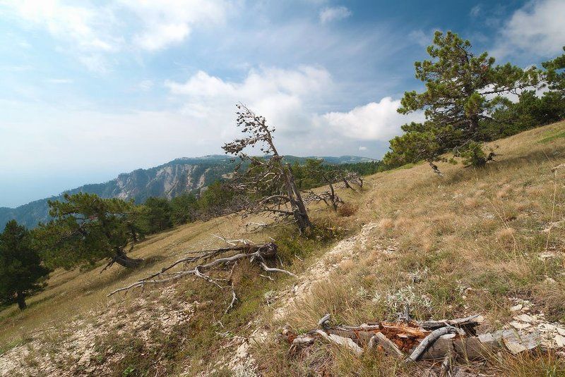 Конец лета на ай-петринской яйле.....photo preview