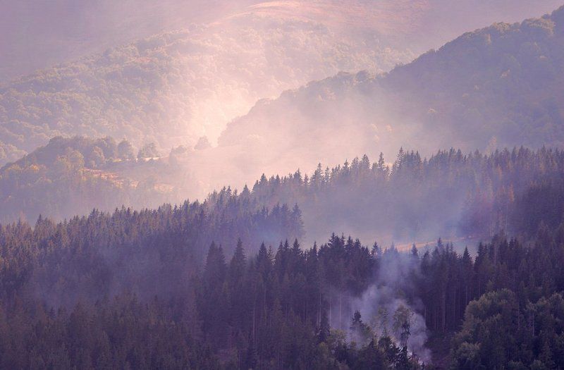 дым&дымкаphoto preview