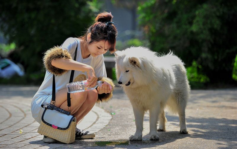 人与动物photo preview