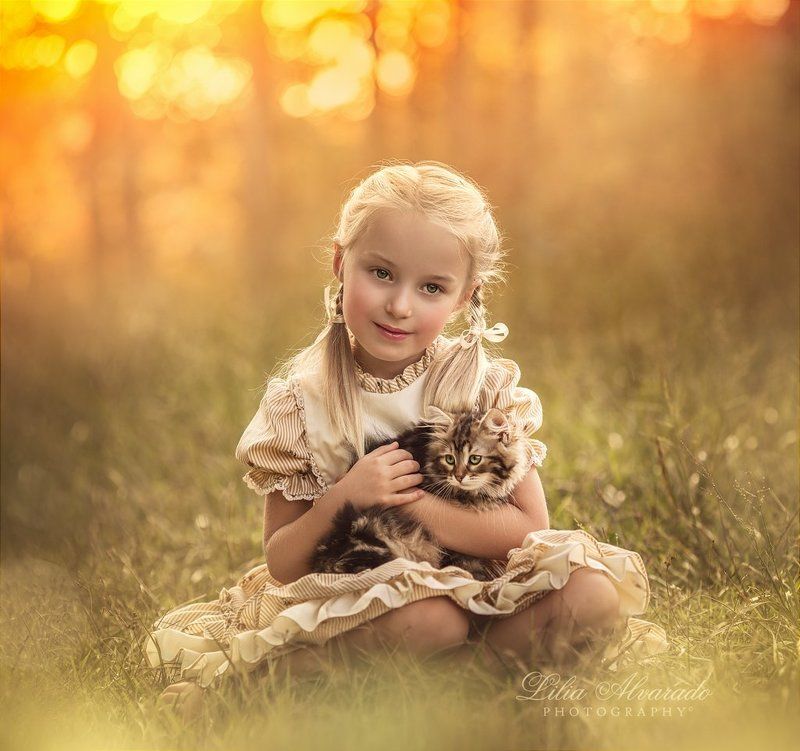 kid,girl,child,children,kitten,cat,vintage,warm,nature, In Your Armsphoto preview