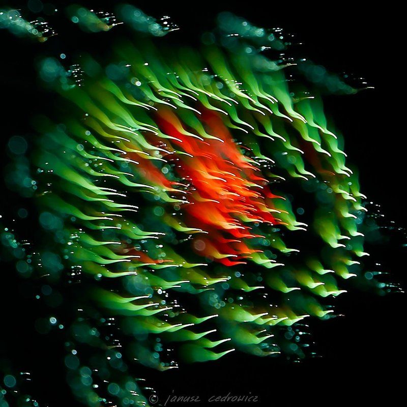 Abstract, Art, Color, Colorful, Colors, Explosion, Fireworks, Light, Lights, Night, Sky fireworxx фото превью