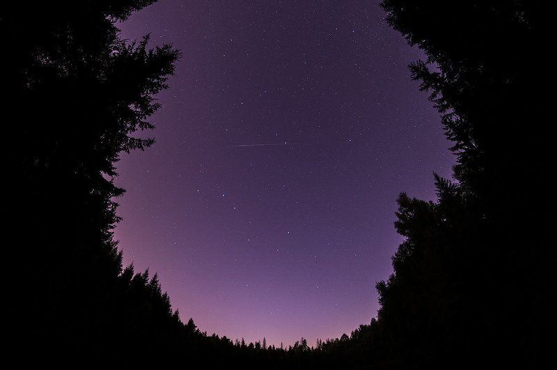 Подмосковье звезды персеиды астрофото лобня лес озерно небо астрономия star, sky, night, blue, darkness, dark, background, nebula, nebulae, graphic, cold, render, rendered, fusion, interstellar, backdrop, space, outdoor, gaseous, indigo, deep, astronomy,  След одного из метеоров потока Персеиды. фото превью