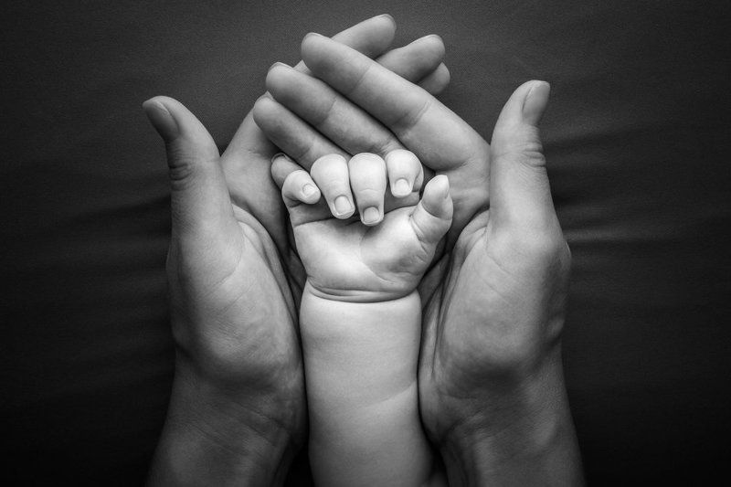 family NewLifephoto preview