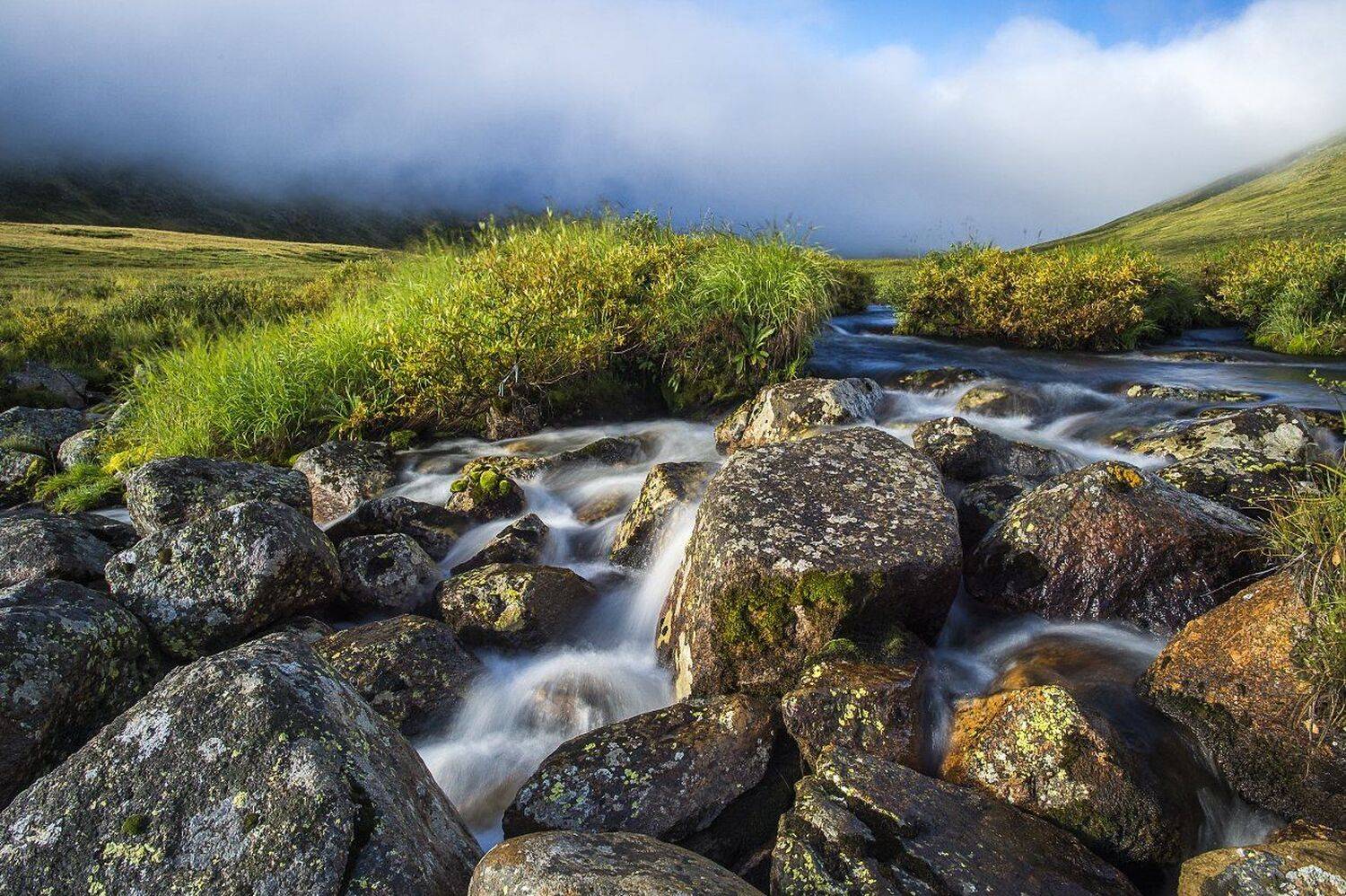 река из молока.... Автор: Толмачев Дмитрий Горный алтай, Дикая природа россии, Природа, Река, Россия, Толмачев Дмитрий, Туман, Толмачев Дмитрий