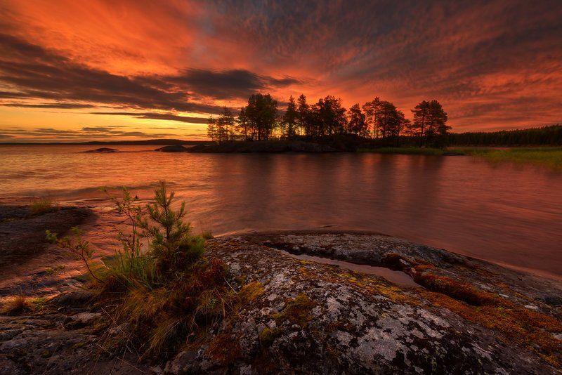 Светает... фото превью