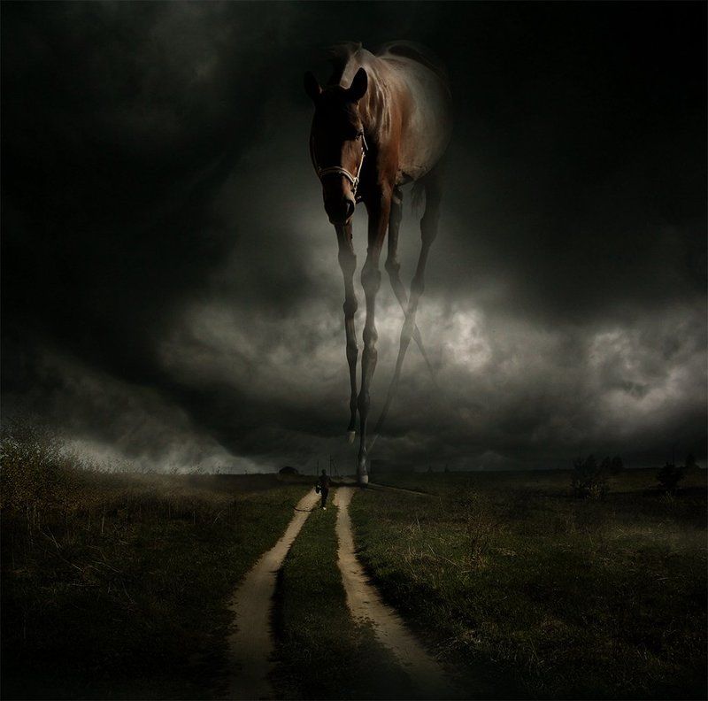 Осенние встречи...photo preview