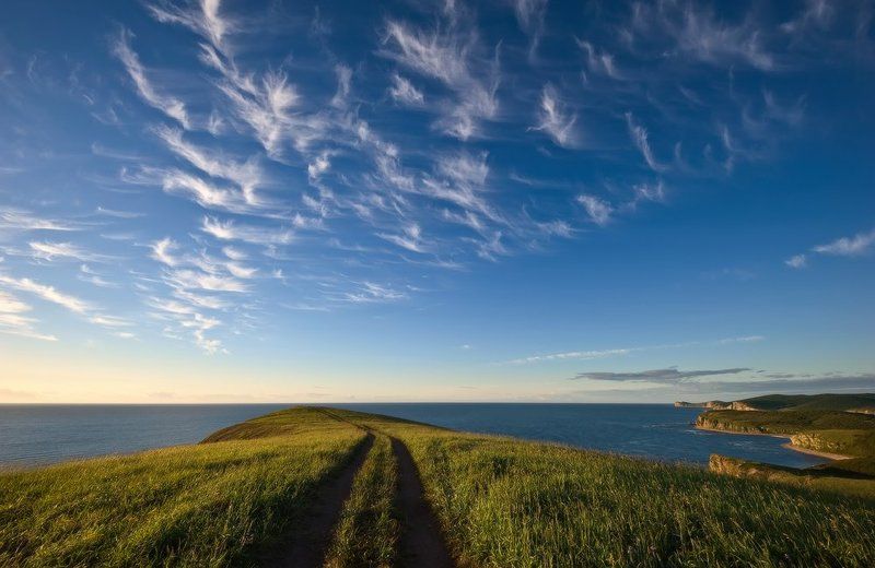 Про птицы-облакаphoto preview