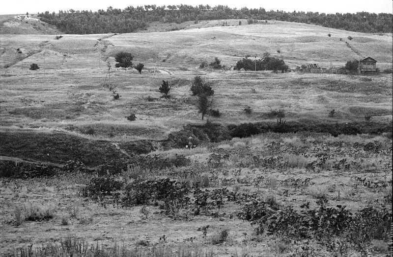 За водой.photo preview