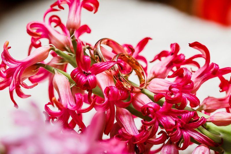 свадебная прогулка, свадьба, жених, невеста, любовь, love story, кольца, mdmmikle, Латвия, Рига Свадебные кольцаphoto preview