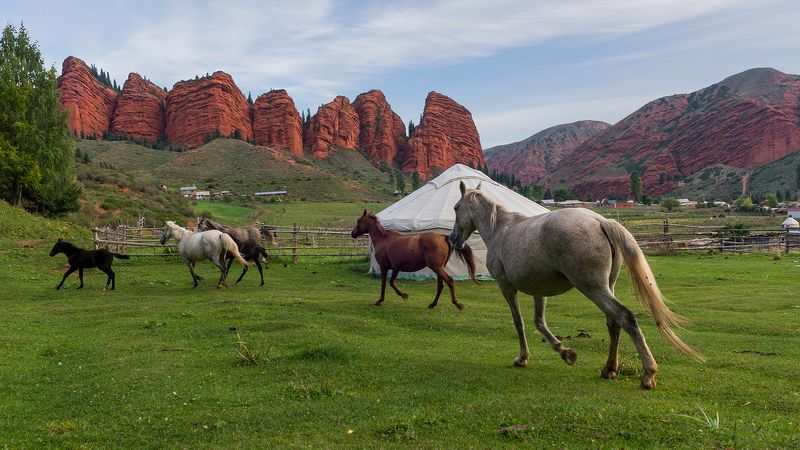 Утренняя зарядкаphoto preview