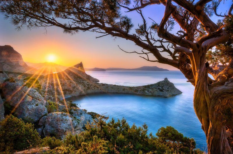 крым, новый свет Новый день. Новый Свет. фото превью