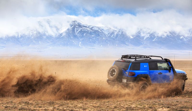 Степное раллиphoto preview