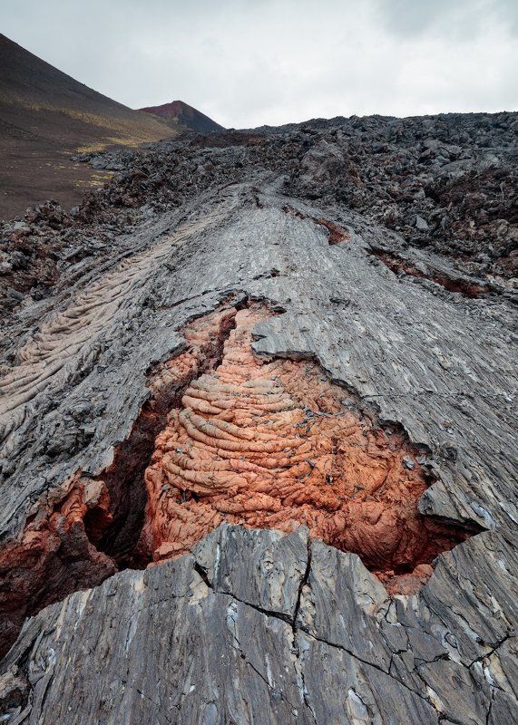 Скорлупа \\ Shellphoto preview