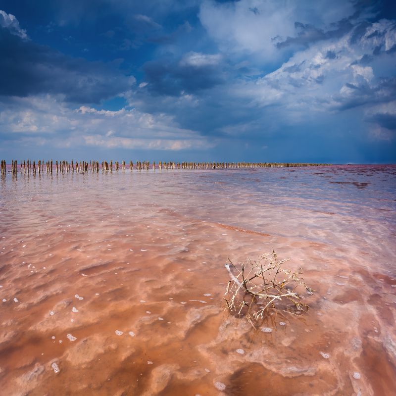 крым, евпатория, сасык,  t_berg Ходить По Воде фото превью