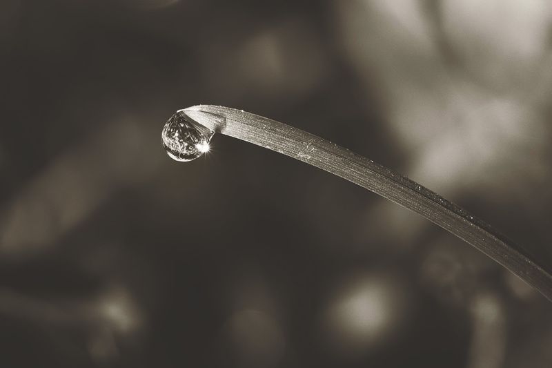 дождь Одна дождливая история фото превью