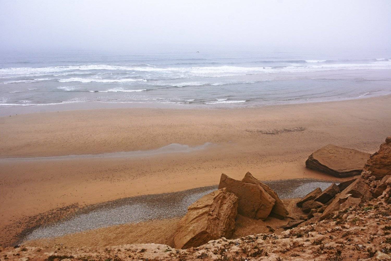 , Денис Воронин