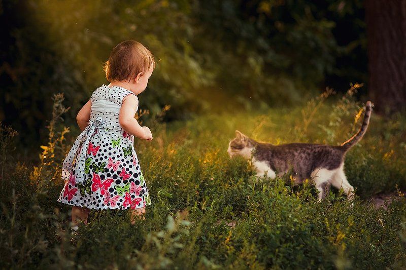 ... фото превью