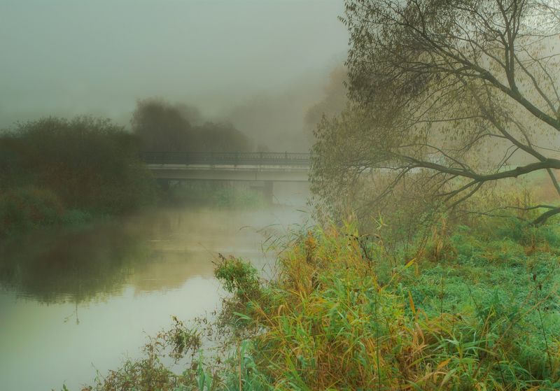 Сходня Осенняя речкаphoto preview