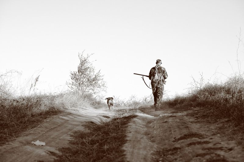 Дорога, Кусты, Охотник, Собака, Чб, Человек охотники..photo preview